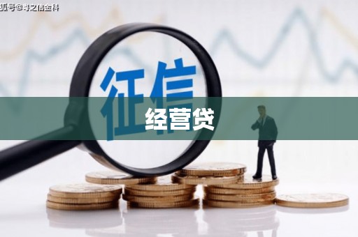 延津经营贷