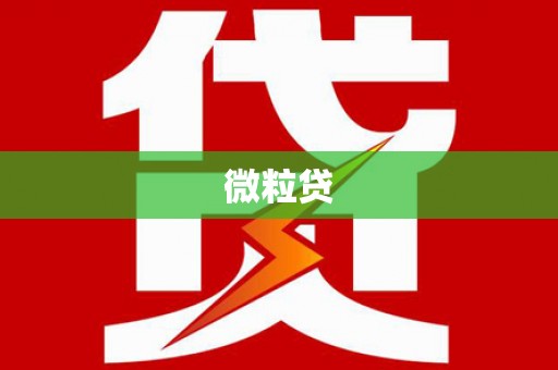 延津微粒贷