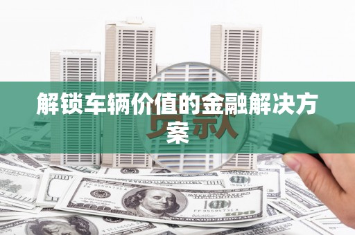 延津解锁车辆价值的金融解决方案