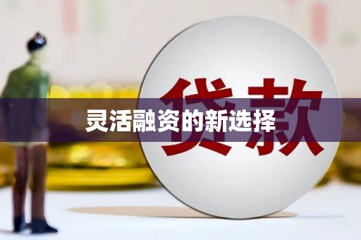 延津灵活融资的新选择
