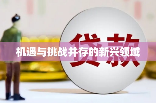延津机遇与挑战并存的新兴领域