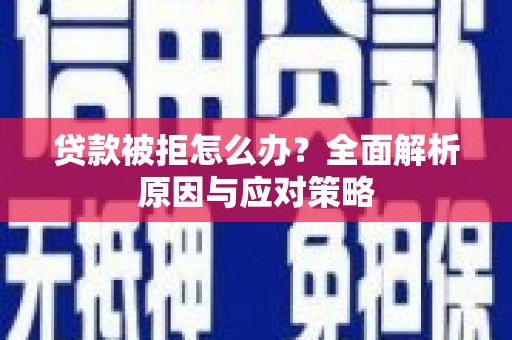 延津贷款被拒怎么办？全面解析原因与应对策略
