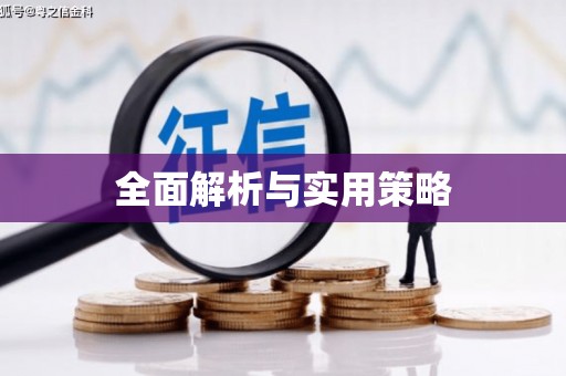 延津全面解析与实用策略