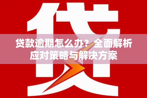 延津贷款逾期怎么办？全面解析应对策略与解决方案
