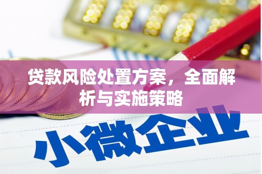 延津贷款风险处置方案，全面解析与实施策略