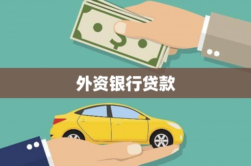 延津外资银行贷款