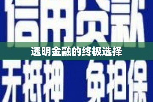 延津透明金融的终极选择