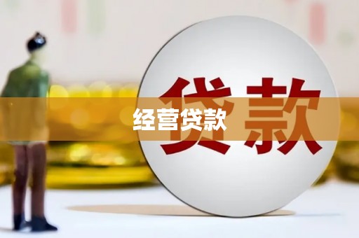 延津经营贷款