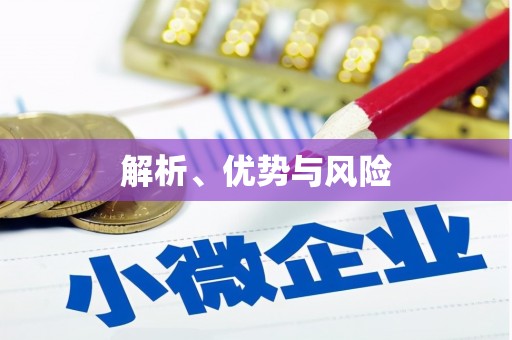 延津解析、优势与风险