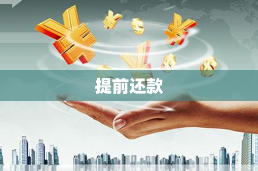 延津提前还款
