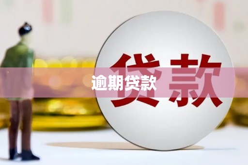 延津逾期贷款