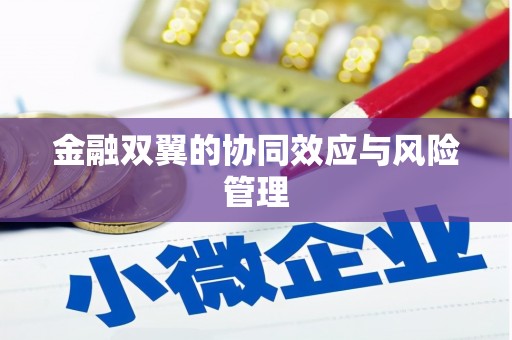 延津金融双翼的协同效应与风险管理