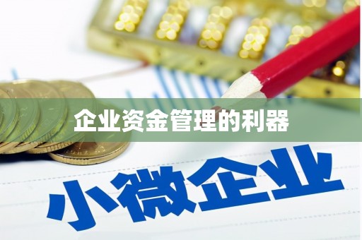 延津企业资金管理的利器