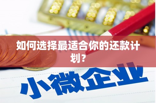 延津如何选择最适合你的还款计划？