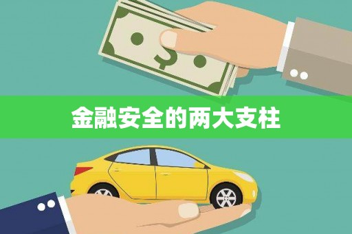 延津金融安全的两大支柱