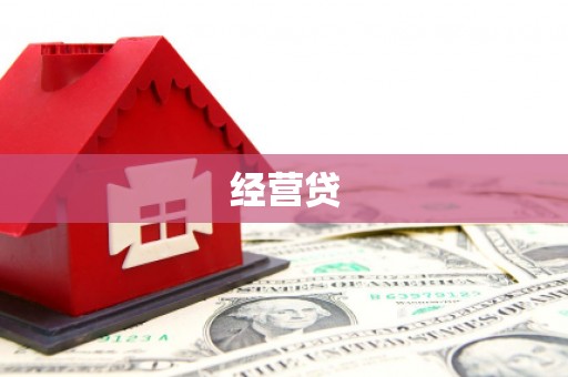 延津经营贷